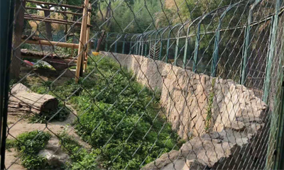 La malla de cable de acero inoxidable es el material ideal para la construcción de zoológicos La malla de cable de acero inoxidable es el material ideal para la construcción de zoológicos