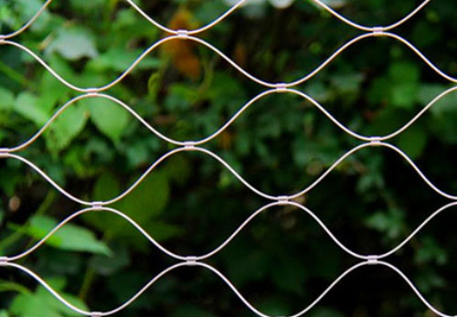 Pared verde de malla de cable de acero inoxidable
