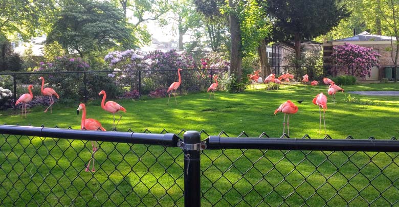 Cerca de malla de alambre de alambre