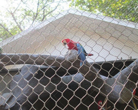 Malla para recinto de loros