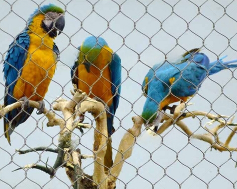 Malla para recinto de loros