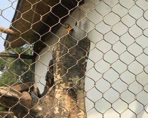Malla para recinto de loros