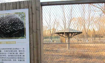 Cosas que desea saber sobre la malla de cables de acero inoxidable