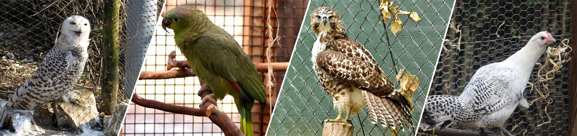 Malla para p&aacute;jaros y malla de aviario